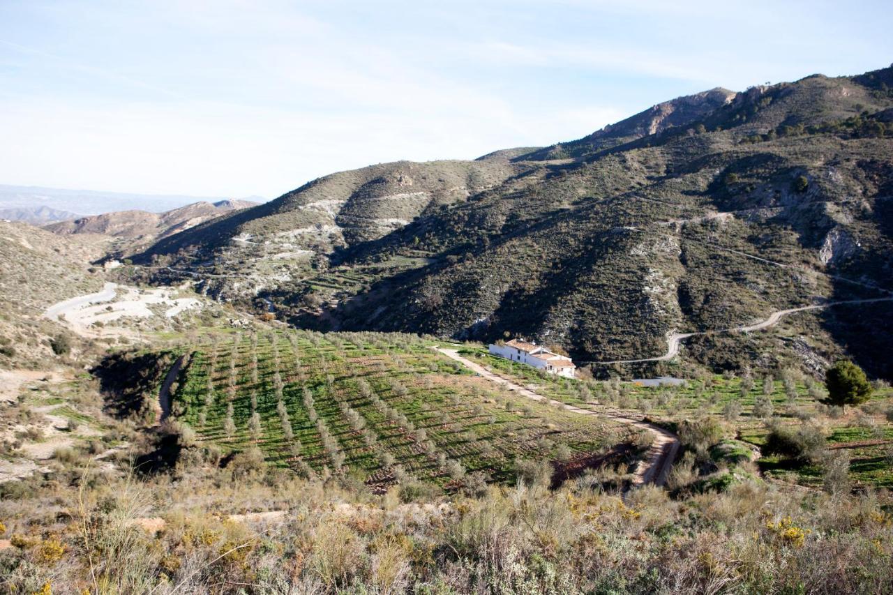 Cortijo El Rancho Villa Albanchez Exteriör bild