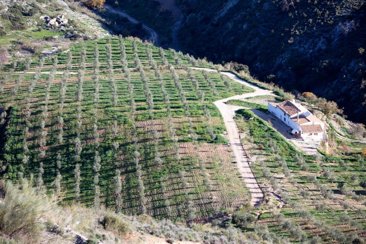 Cortijo El Rancho Villa Albanchez Exteriör bild